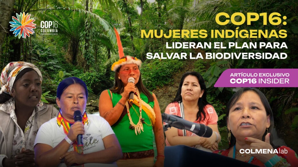Mujeres Indígenas y su papel vital en la conservación de la Biodiversidad: Una oportunidad en la COP16 