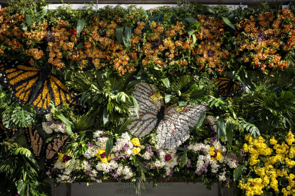 Exposición | Bienvenida la primavera 2025