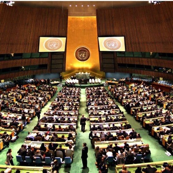 Asamblea de la ONU (fuente: Cruz Roja Internacional)