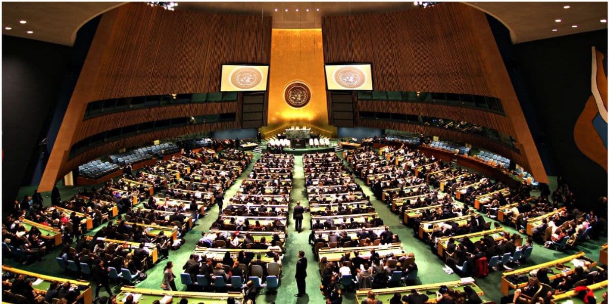 Asamblea de la ONU (fuente: Cruz Roja Internacional)