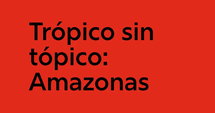 Nexos-Alianza recomienda esta exposición